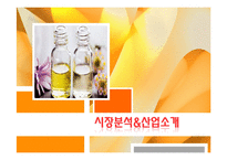 [해외시장조사론] 인도 화장품 산업 진출-3