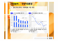 [해외시장조사론] 인도 화장품 산업 진출-4