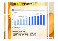 [해외시장조사론] 인도 화장품 산업 진출-5