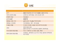[무역론] 스킨푸드, UAE 시장진출전략-4