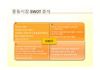 [무역론] 스킨푸드, UAE 시장진출전략-12