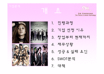 Sm엔터테인먼트 기업경영분석-3