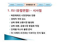 남북한 화폐통합-9