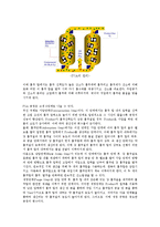 [분리공정] 공기에서 산소를 분리하는 방법-6