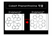 [무기화확실험] Cobalt Phenanthroline 착물의 합성과 반응-5