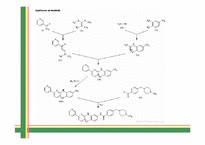 Gleevec(Imatinib) 레포트-13