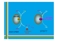 Gleevec(Imatinib) 레포트-15