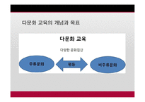 한국 다문화 교육의 문제점-5