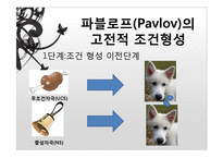 [교육심리] 학습이론-7