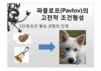 [교육심리] 학습이론-8