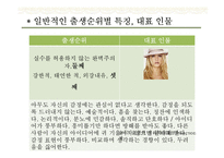 [교육학] 형제 수, 출생순위에 따른 자아존중감과 성격유형-12
