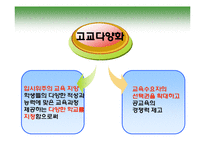 고교다양화, 교육정책-8