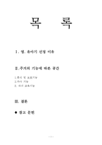 영,유아기 주거의 기능에 따른 공간-1