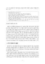 벨기에의 상징성-7