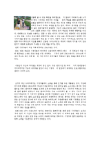 매체의 방향성 변화 -TV와 라디오를 중심으로-4