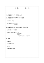 [유럽학] 네덜란드의 정치,경제,사회개혁과 반부패운동-2