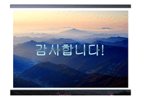 [정부간관계론] 지리산 케이블카 유치경쟁-16
