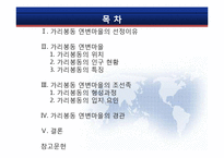 [지리학] 가리봉동 연변마을-2