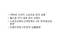 [국제광고] 다국적 브랜드 나이키의 광고 전략-7