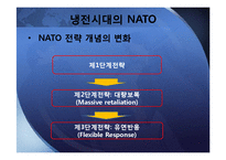 냉전시기와 탈냉전시기의 NATO-5