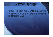 냉전시기와 탈냉전시기의 NATO-13