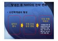 냉전시기와 탈냉전시기의 NATO-17