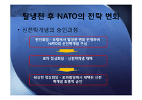냉전시기와 탈냉전시기의 NATO-18