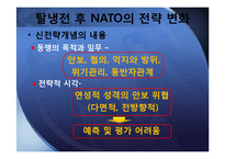냉전시기와 탈냉전시기의 NATO-19