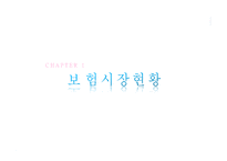 개인자동차 보험-2