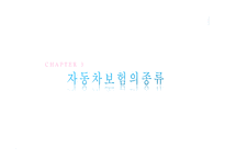 개인자동차 보험-14