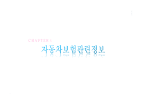 개인자동차 보험-18