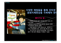 인터넷문화 지체현상 극복방안 -네트즌 수사대, 옴부즈맨, 악성 댓글-3