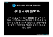 인터넷문화 지체현상 극복방안 -네트즌 수사대, 옴부즈맨, 악성 댓글-5