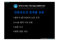 인터넷문화 지체현상 극복방안 -네트즌 수사대, 옴부즈맨, 악성 댓글-7