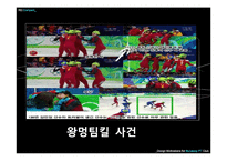인터넷문화 지체현상 극복방안 -네트즌 수사대, 옴부즈맨, 악성 댓글-8