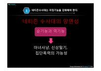 인터넷문화 지체현상 극복방안 -네트즌 수사대, 옴부즈맨, 악성 댓글-9
