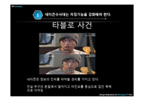 인터넷문화 지체현상 극복방안 -네트즌 수사대, 옴부즈맨, 악성 댓글-10