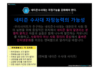 인터넷문화 지체현상 극복방안 -네트즌 수사대, 옴부즈맨, 악성 댓글-13