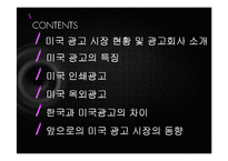 [국제광고론] 미국 광고-2