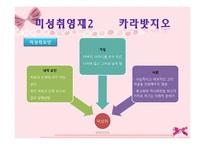 영재아 상담 -성취 영재와 미성취 영재 사례 조사-17