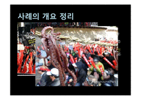 [행정책임론] 공무원의 무사안일 및 무능-12