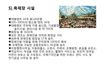 [지역 축제] 옥토버페스트와 보령머드축제 분석-11