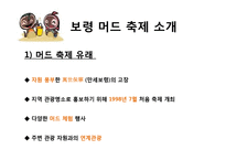 [지역 축제] 옥토버페스트와 보령머드축제 분석-20