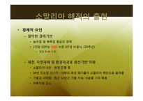 소말리아의 해적경제 -글로벌 금융 시장과 공존하는 해상 약탈 경제-12
