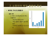 소말리아의 해적경제 -글로벌 금융 시장과 공존하는 해상 약탈 경제-16