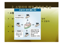 소말리아의 해적경제 -글로벌 금융 시장과 공존하는 해상 약탈 경제-17