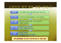 소말리아의 해적경제 -글로벌 금융 시장과 공존하는 해상 약탈 경제-18