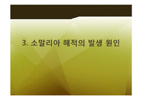 소말리아의 해적경제 -글로벌 금융 시장과 공존하는 해상 약탈 경제-19