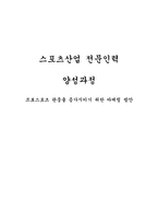 프로스포츠 관중을 증가시키기 위한 마케팅 방안-1