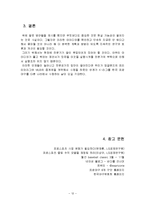 프로스포츠 관중을 증가시키기 위한 마케팅 방안-14